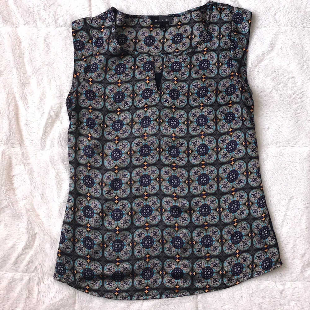 The Limited Blouse
